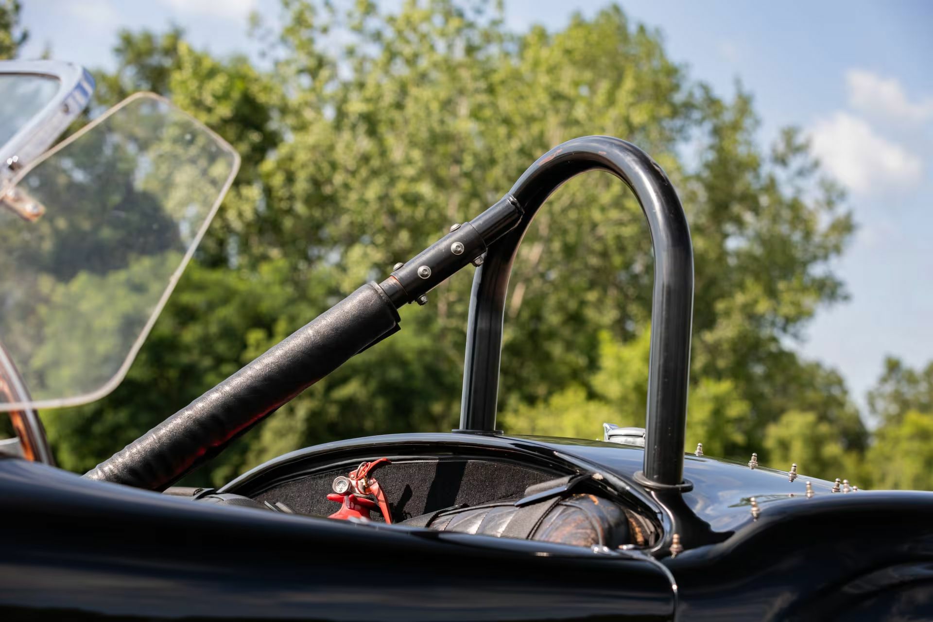 Shelby Cobra 7_result22