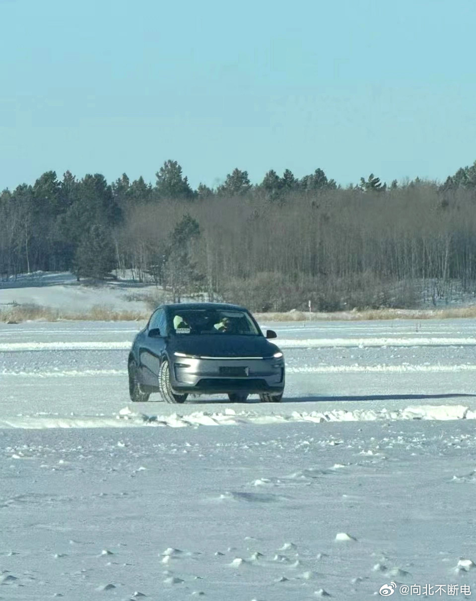 Tesla Model Y Juniper 2026 4 copy
