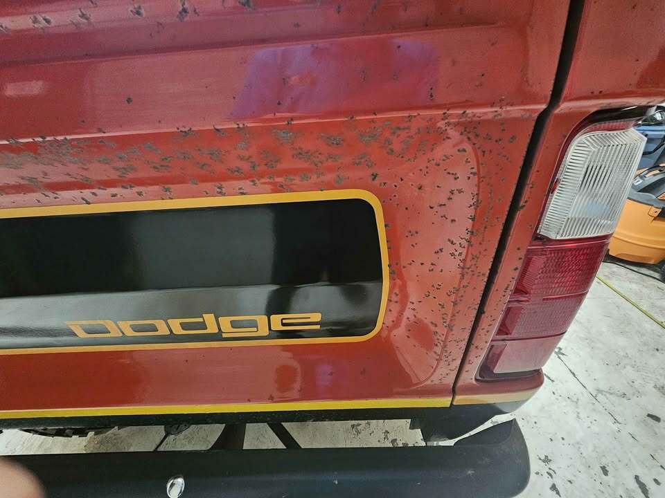 Dodge Macho Power Wagon - 13