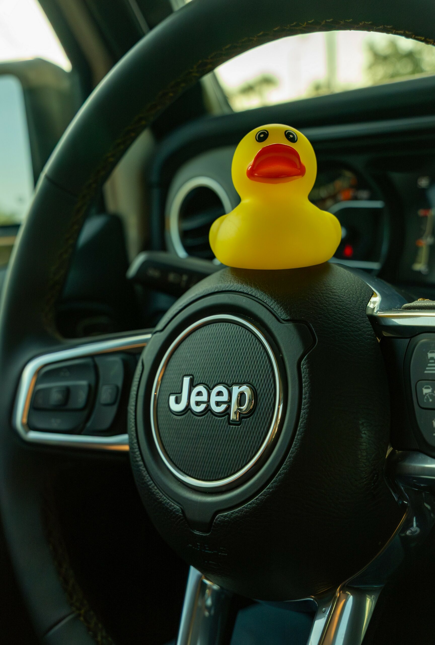 Rent A Wrangler 4xe From Hertz And Pray You Get Ducked | Carscoops