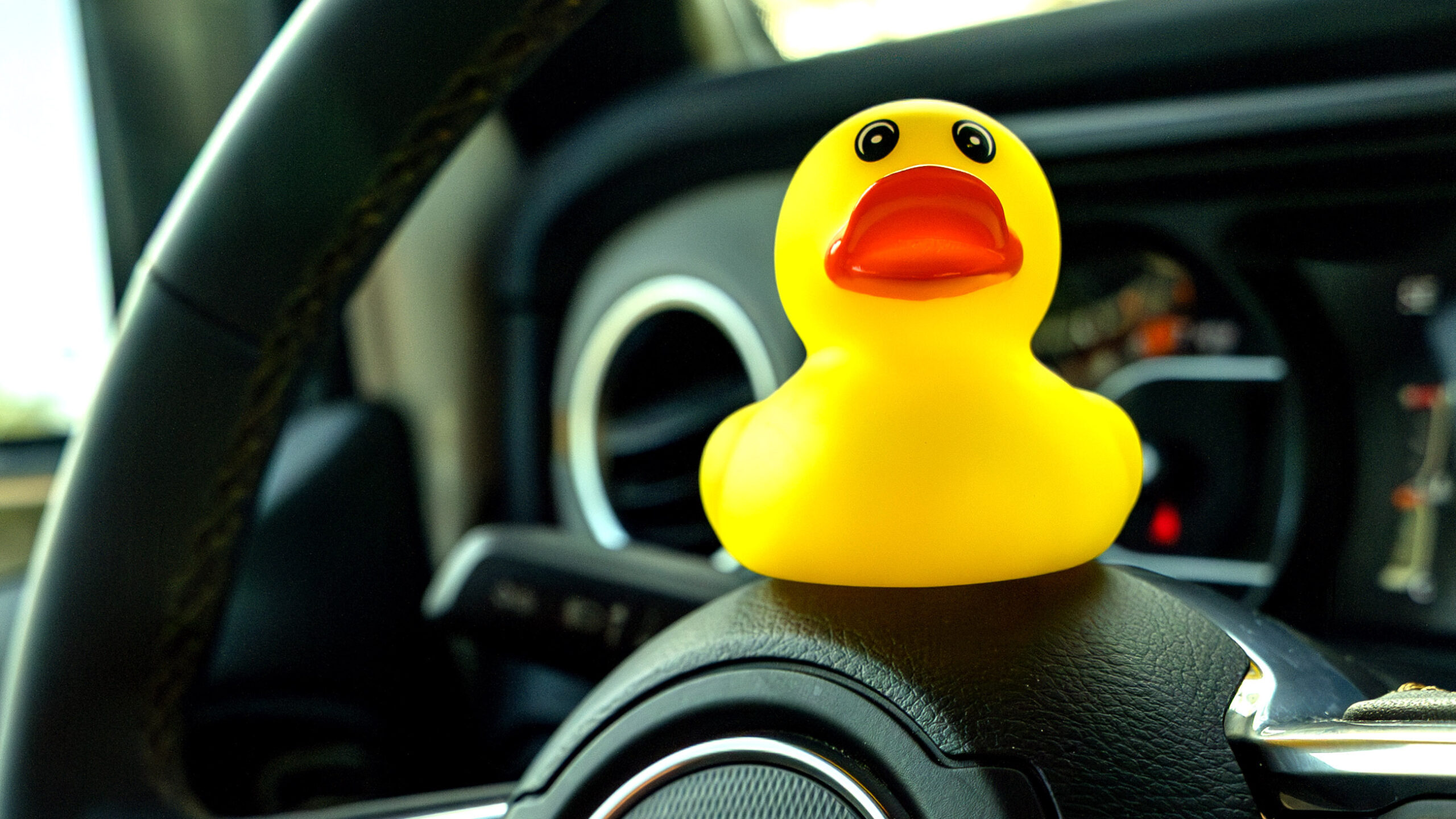 Hertz JEEP アヒル　1匹は音のなるタイプ　海外 Jeep-Duck-copy-scaled.jpg