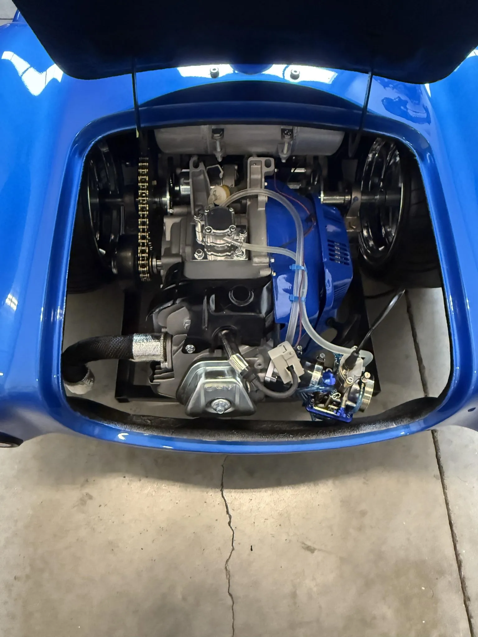 This Shelby Proves That Size Doesn’t Always Matter