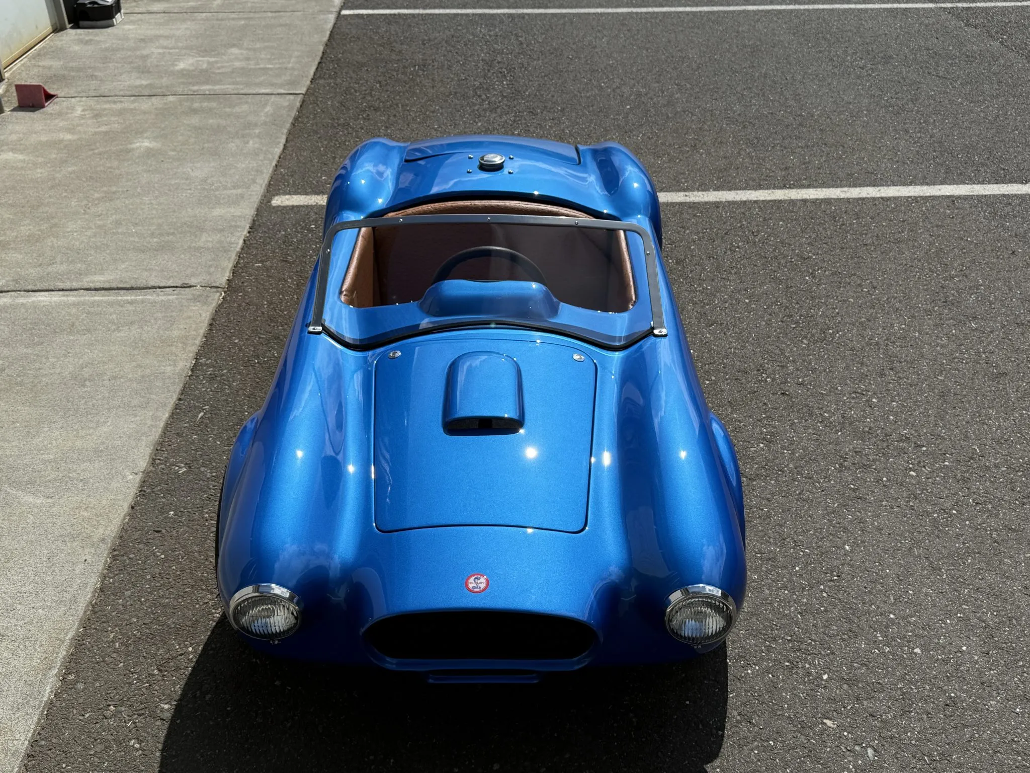 This Shelby Proves That Size Doesn’t Always Matter