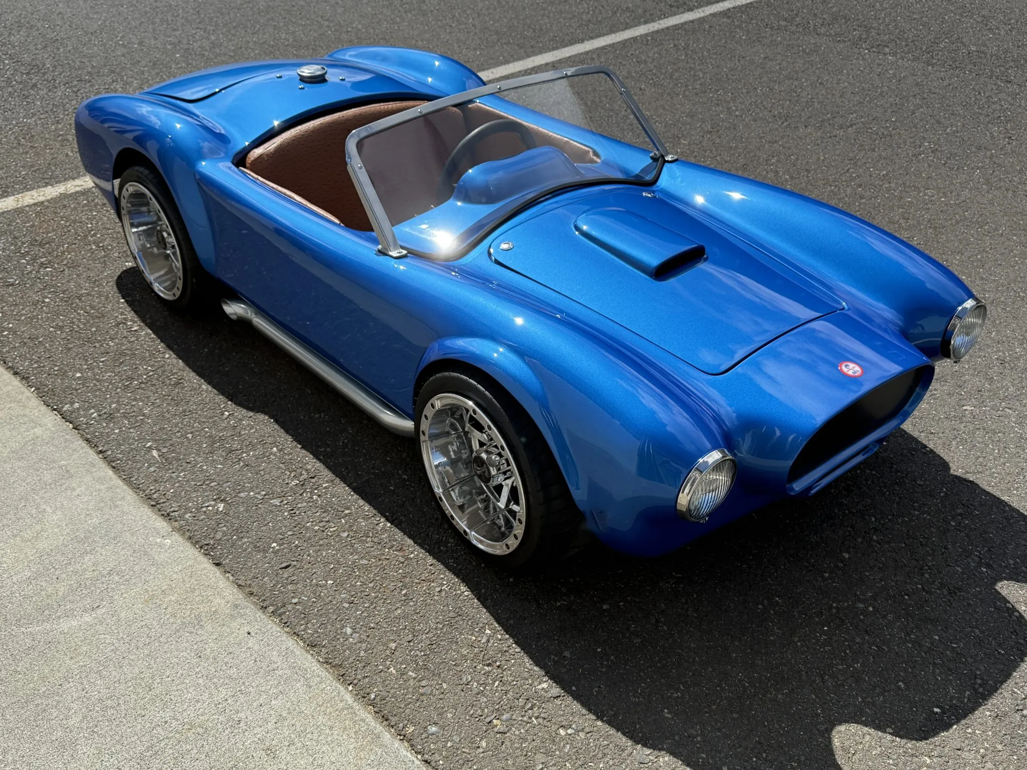 This Shelby Proves That Size Doesn’t Always Matter