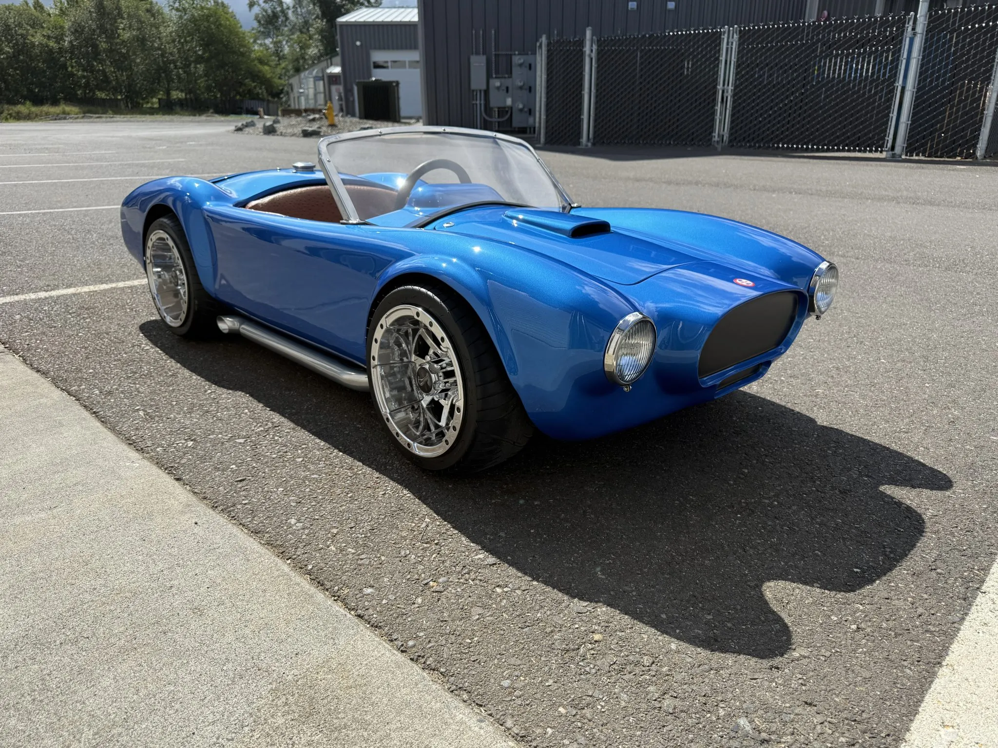 This Shelby Proves That Size Doesn’t Always Matter