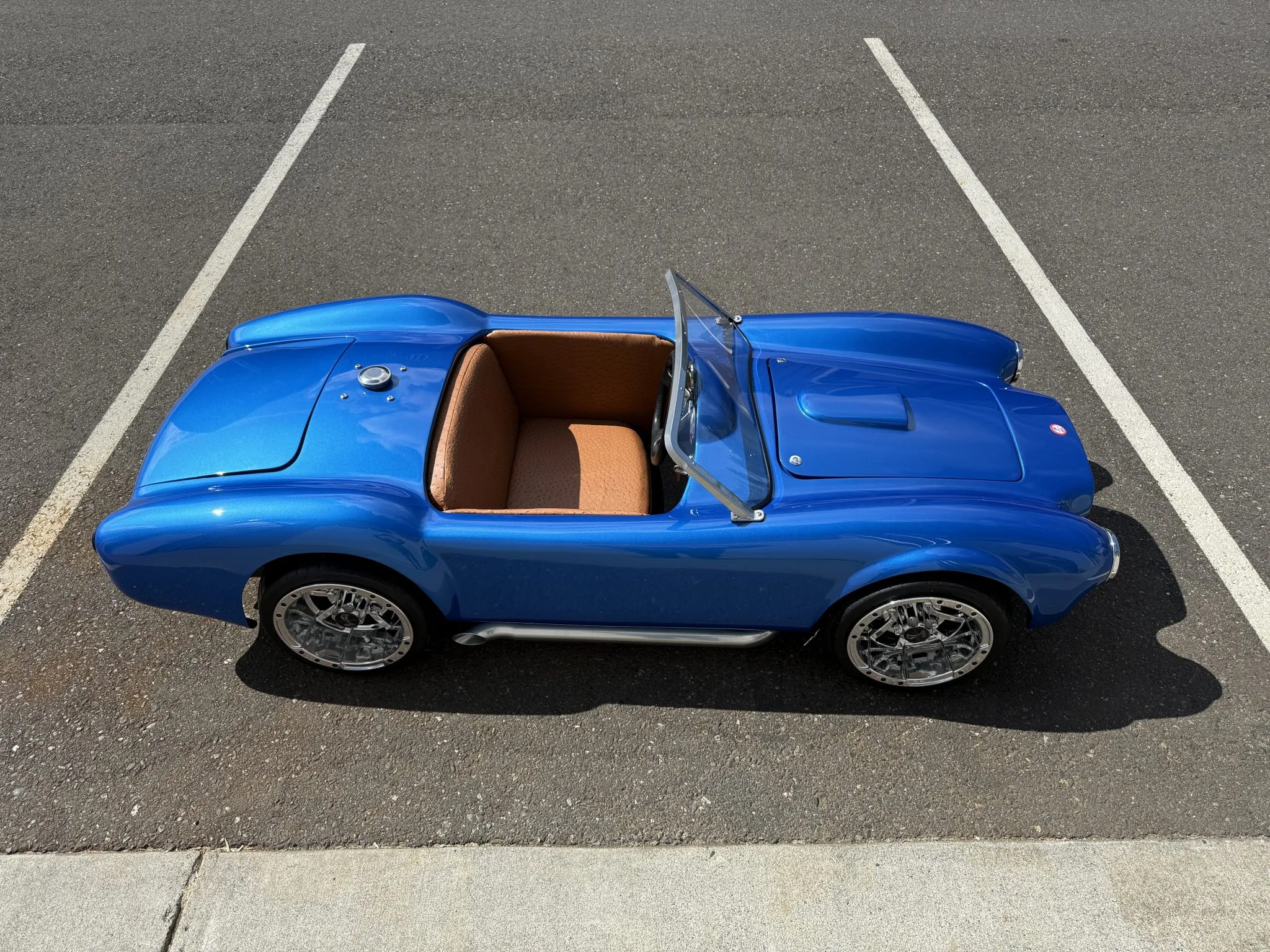 This Shelby Proves That Size Doesn’t Always Matter