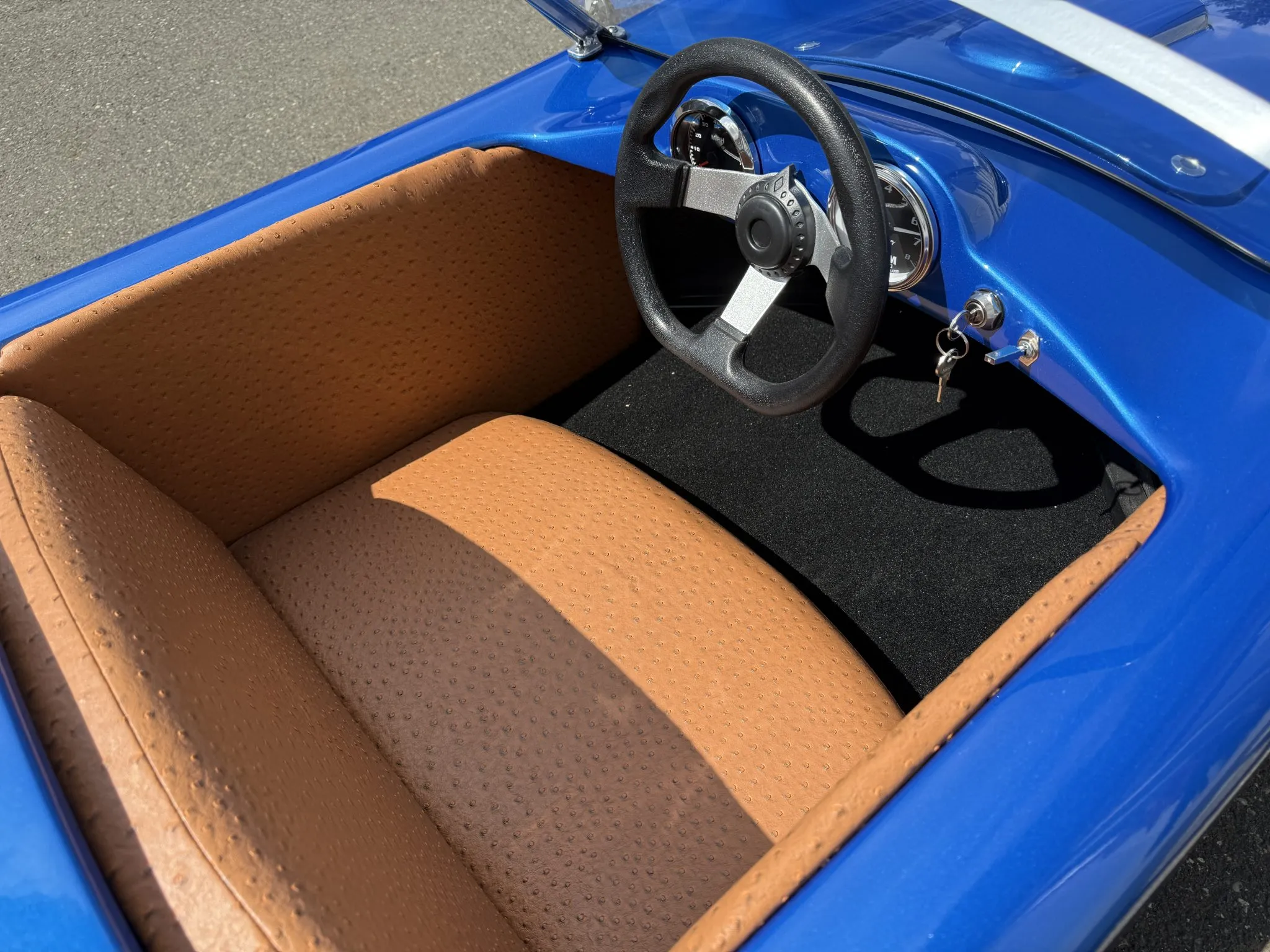 This Shelby Proves That Size Doesn’t Always Matter