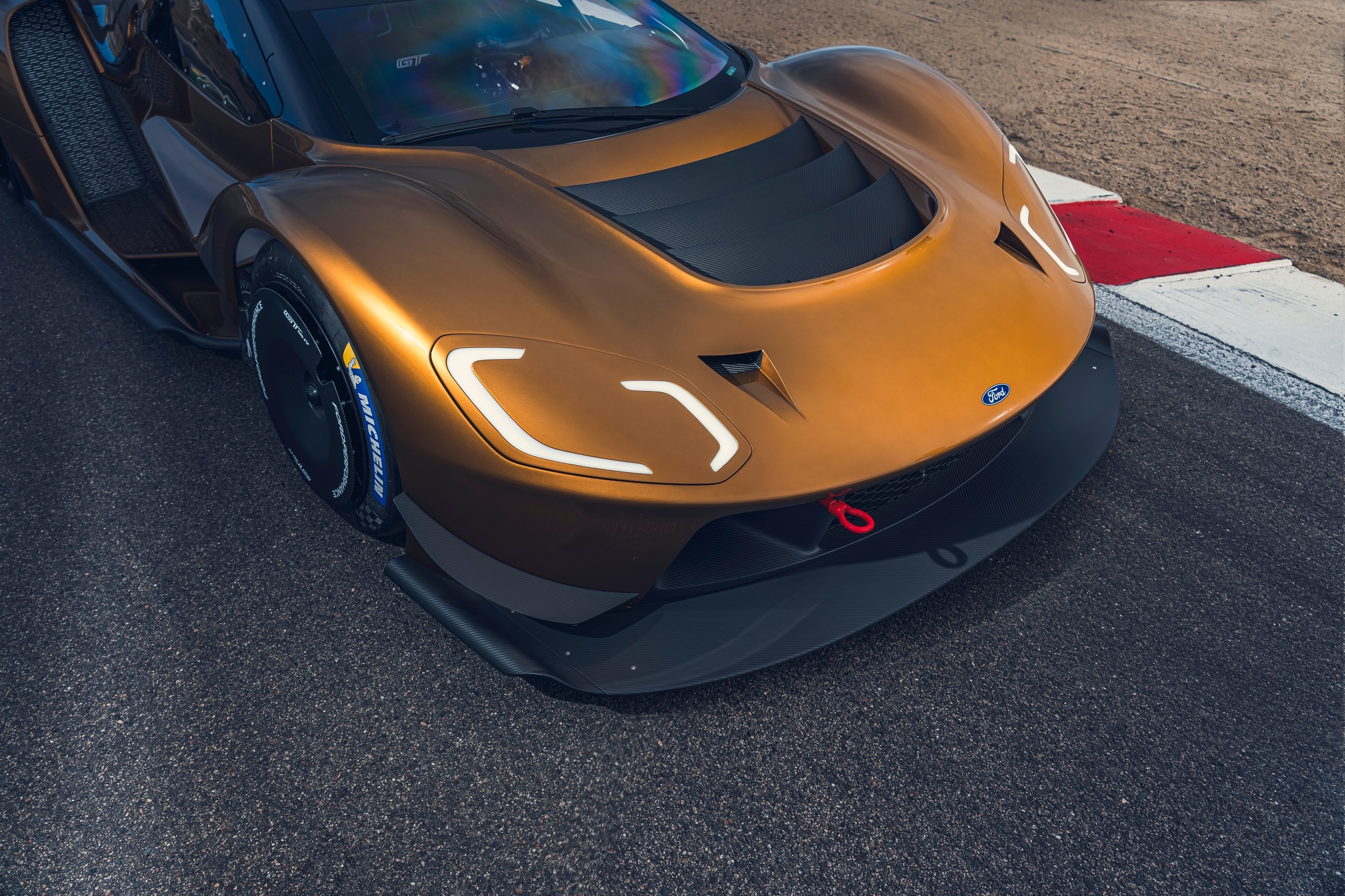 【特大】　マレーコーカサス　120mm up Yahoo!オークション -「マレーコーカサスオオカブト」(カブトムシ) (虫