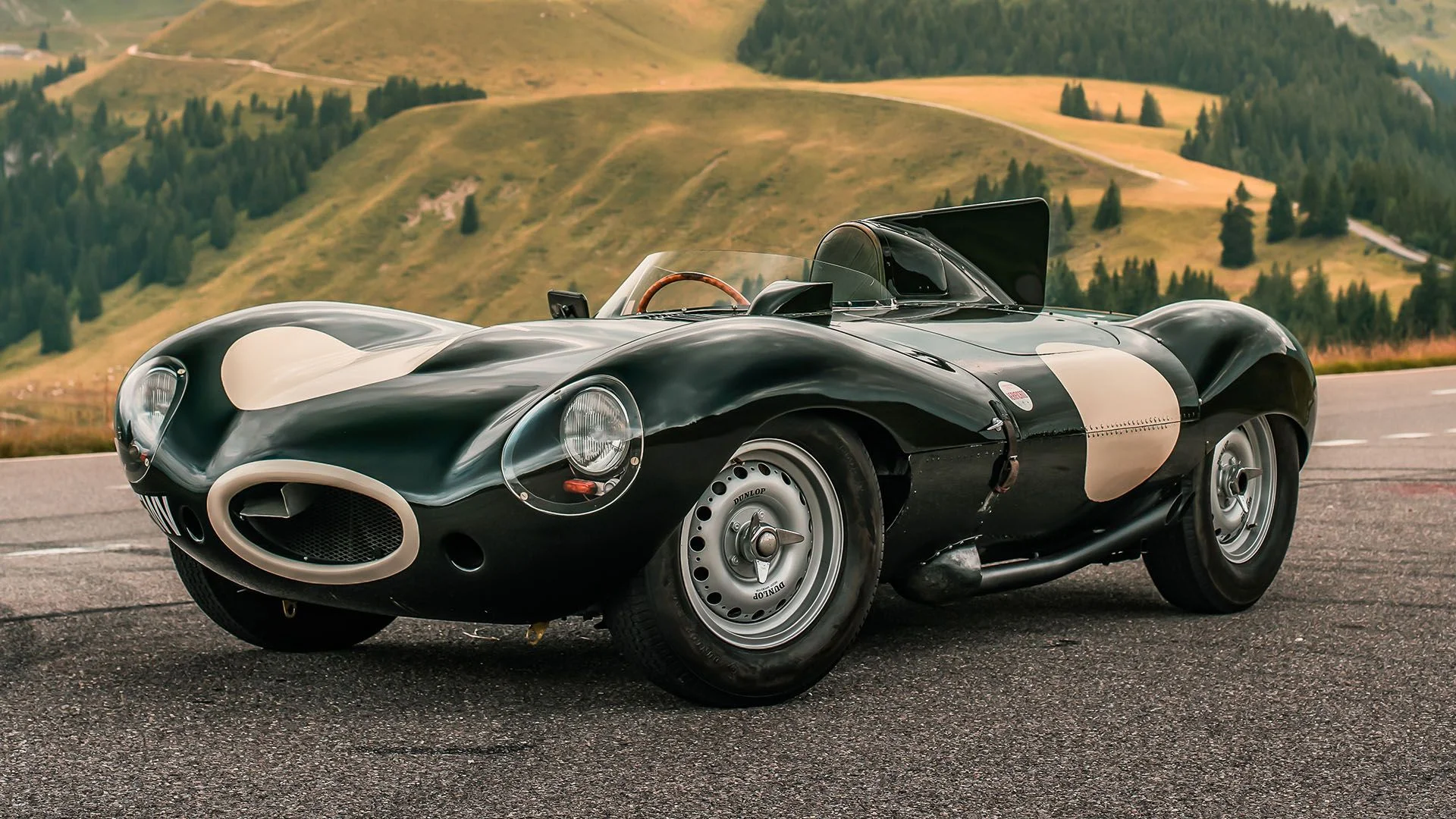 A Legendary Jaguar Just Came Out Of Hiding After 31 Years In