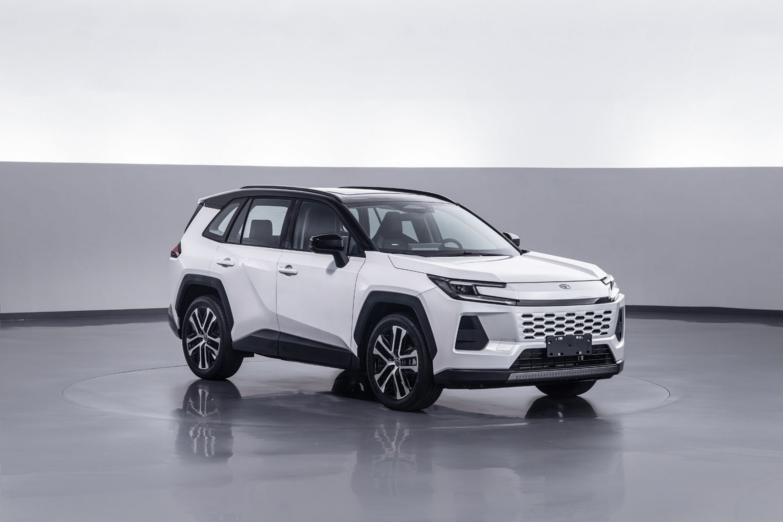 Toyota-Wildlander-China-7.jpg