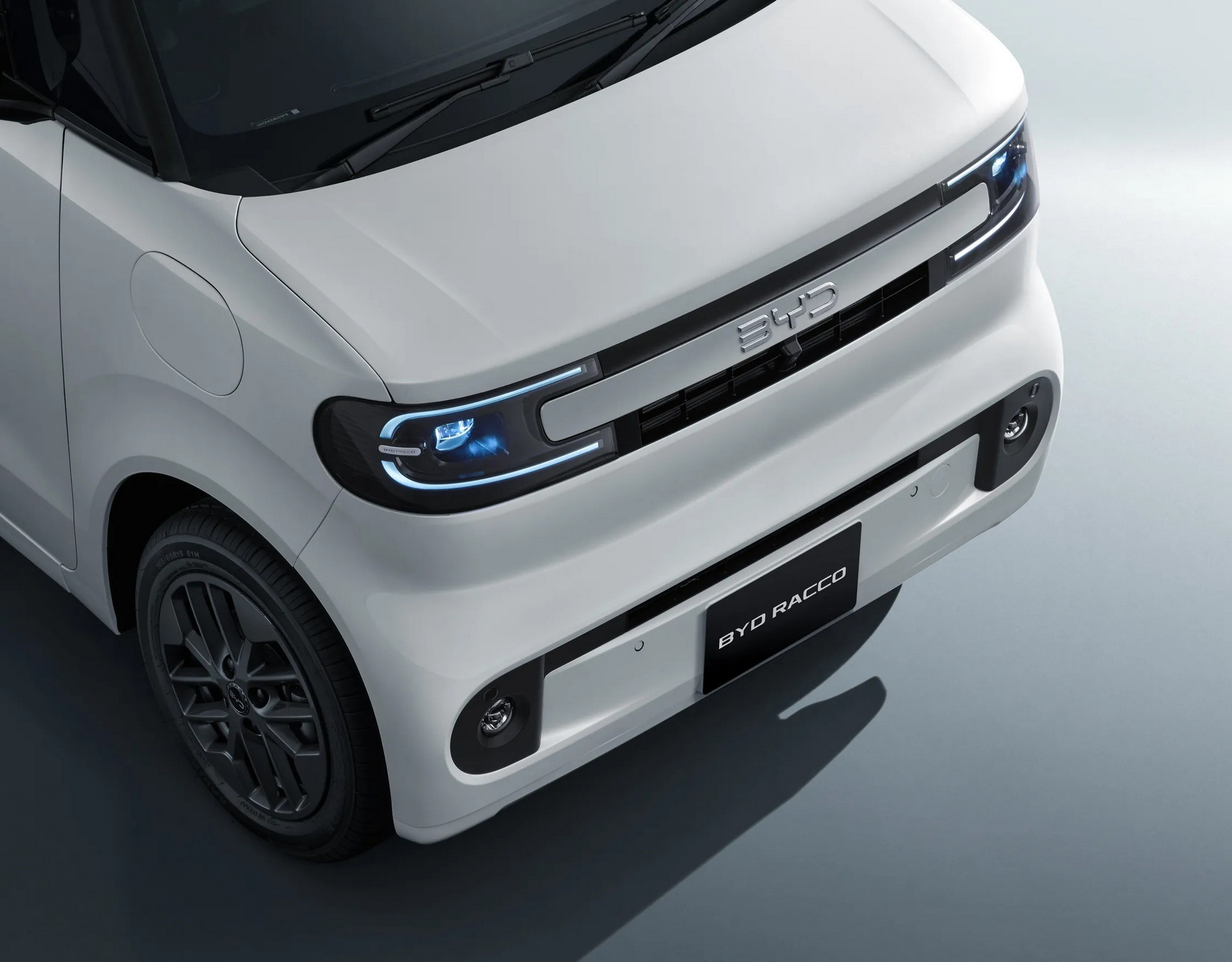 BYD Faces Major Blow in Japanese EV Market - image 4