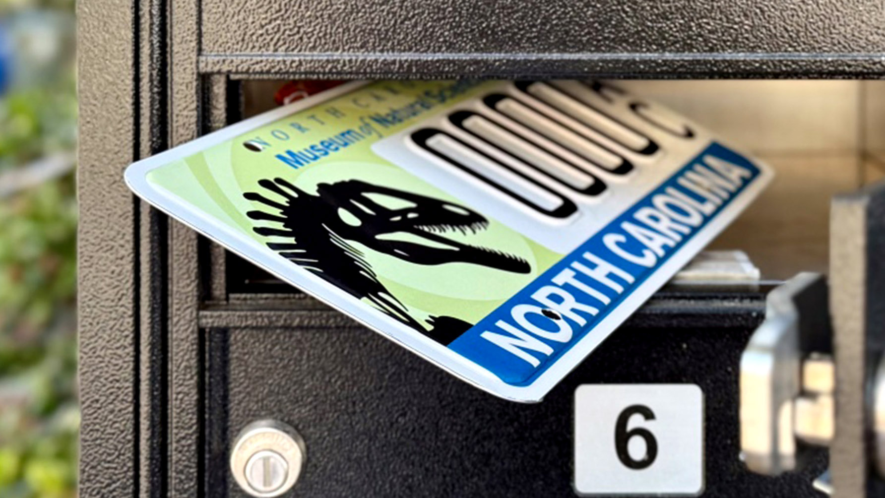 NC Drivers Just Got a Plate That's 110 Million Years in the Making