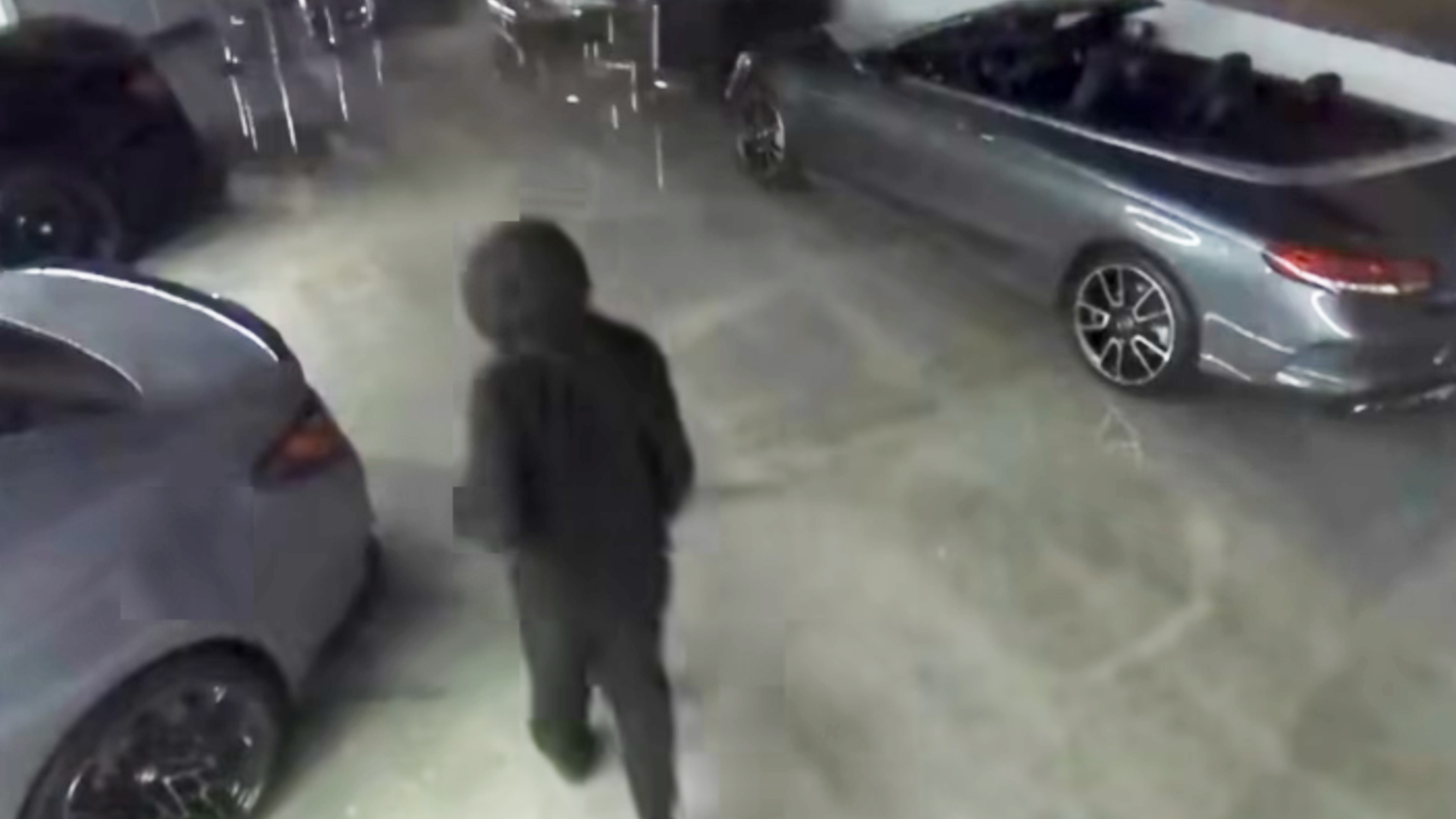 They Stole $2M In Cars Before Anyone Even Heard A Sound