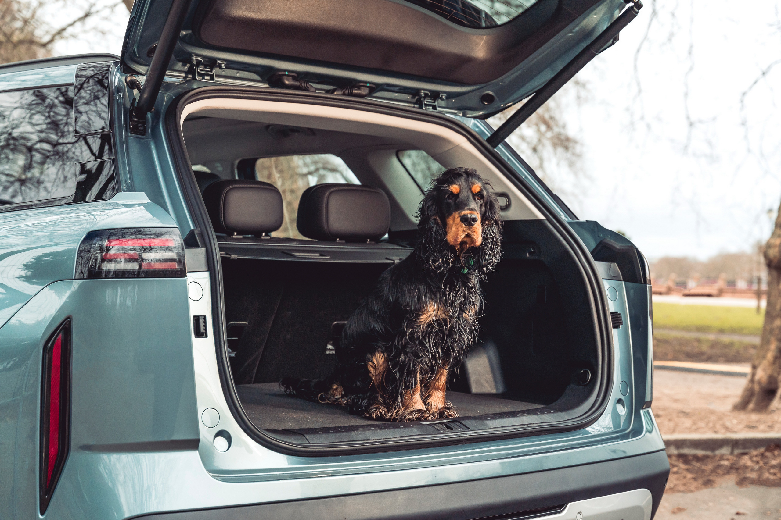 UK Buyers Now Love This ‘Temu Range Rover’ More Than The Real Thing