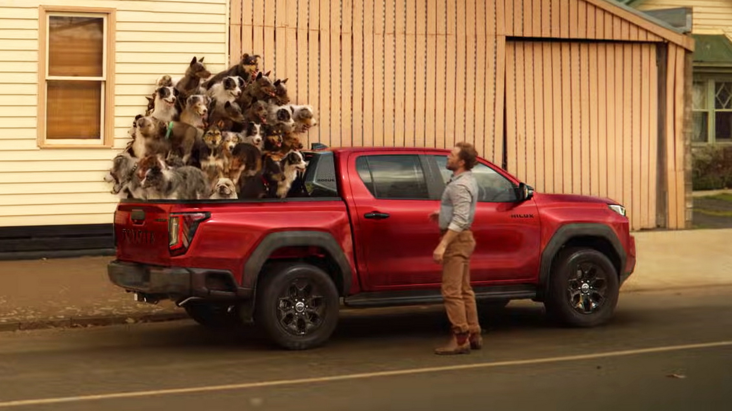 Inspiring Dog In Toyota Commercial Pictures