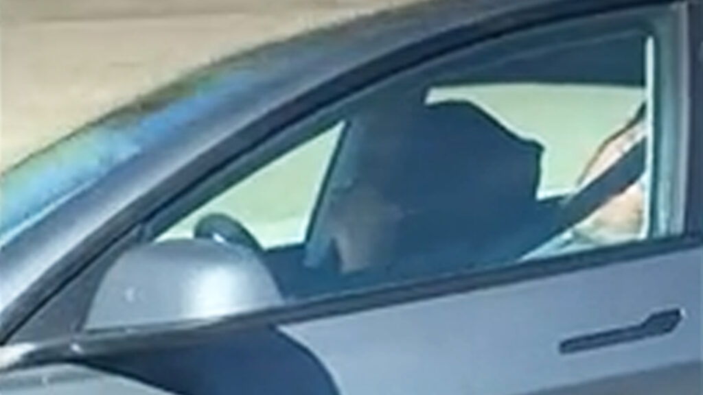 Viral Video Shows Older Tesla Driver And Passenger Both Asleep At Highway Speed
