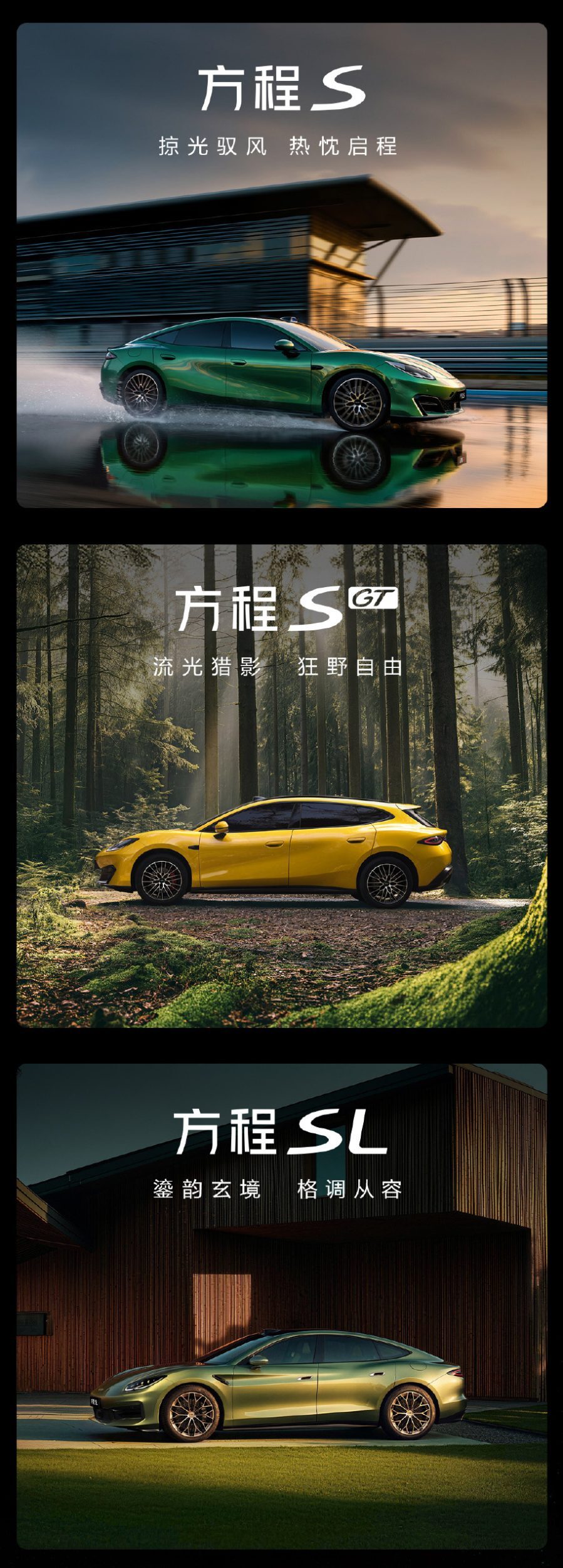 Fang Cheng Bao Formula Lineup - BYD (2)