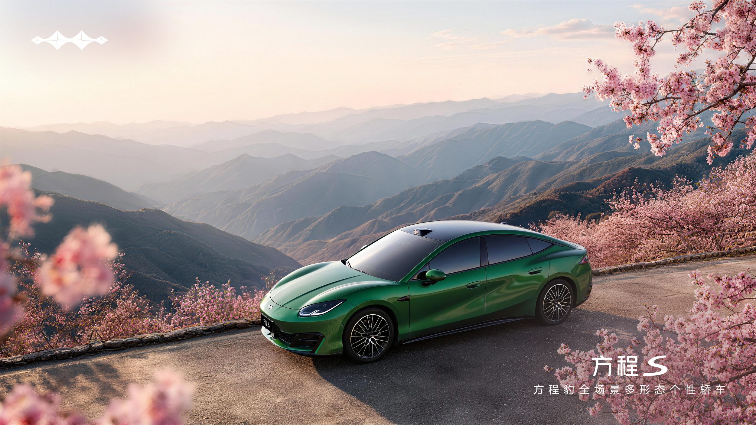 Fang Cheng Bao Formula S - BYD (1)