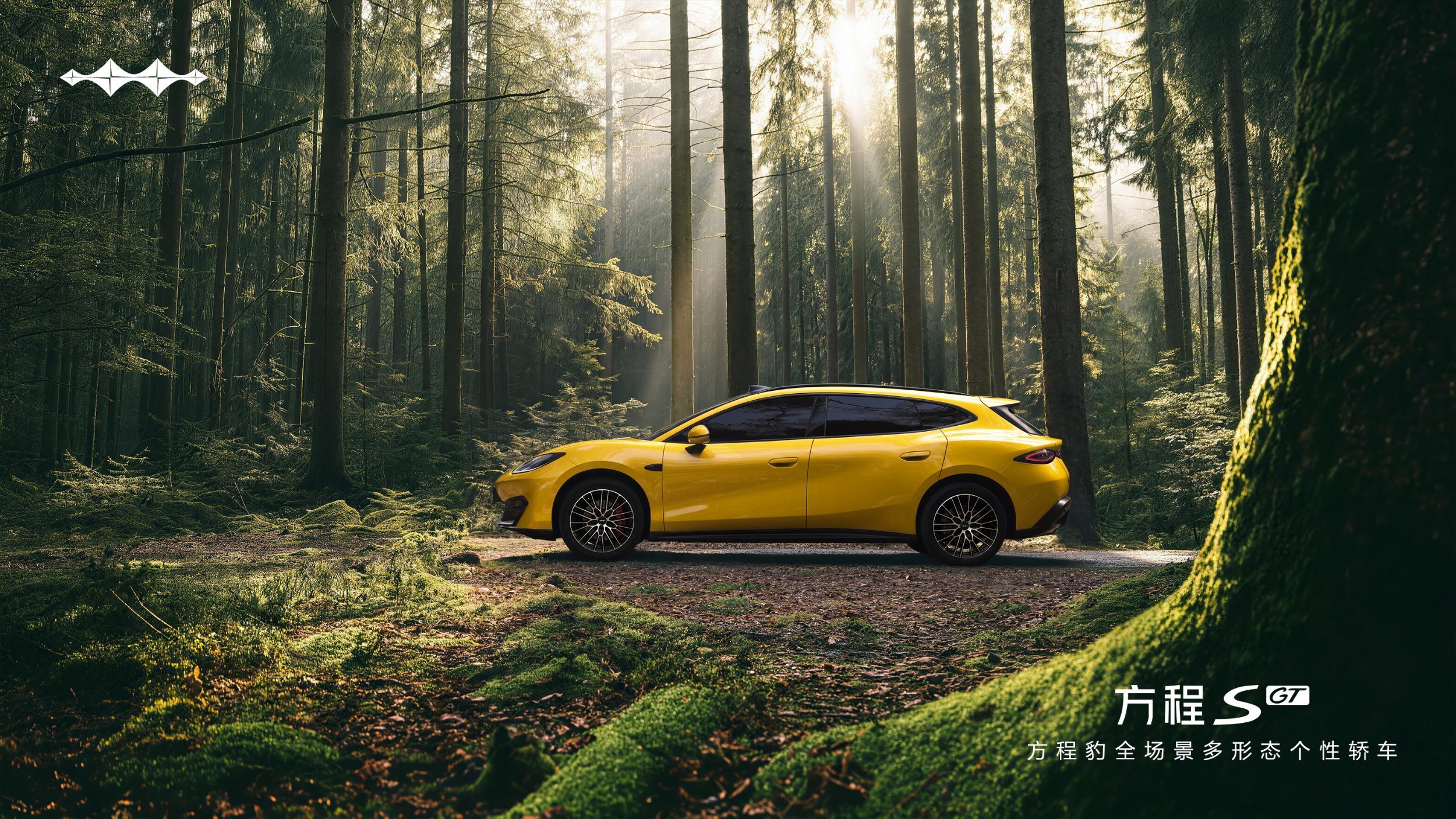 Fang Cheng Bao Formula S GT - BYD (2)