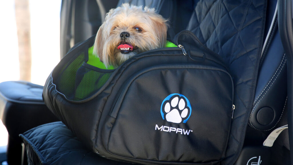  This VW Robotaxi Could Be Your Next Uber Ride