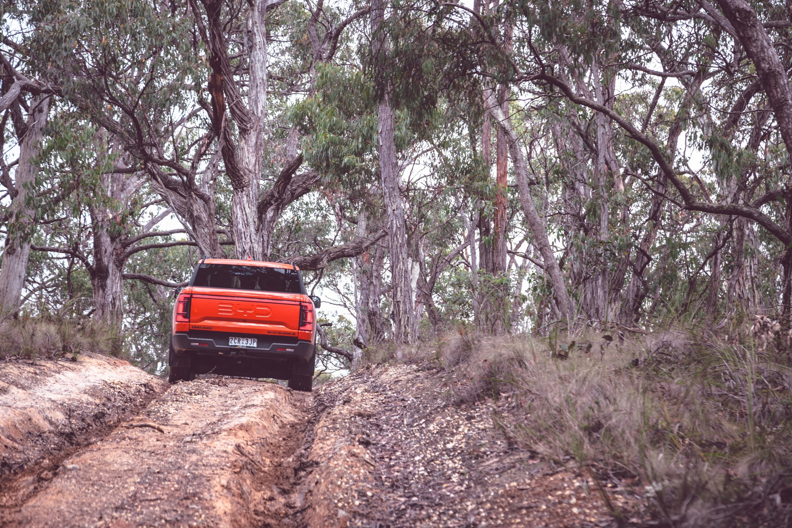 The Shark 6 Couldn’t Tow Like Other Mid-Size Pickups, So BYD Made One That Can