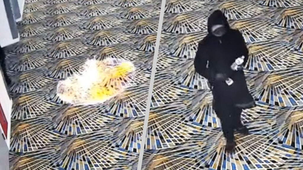 Detroit Auto Show Fans Joked The Place Was A Dumpster Fire, Someone Took It Literally