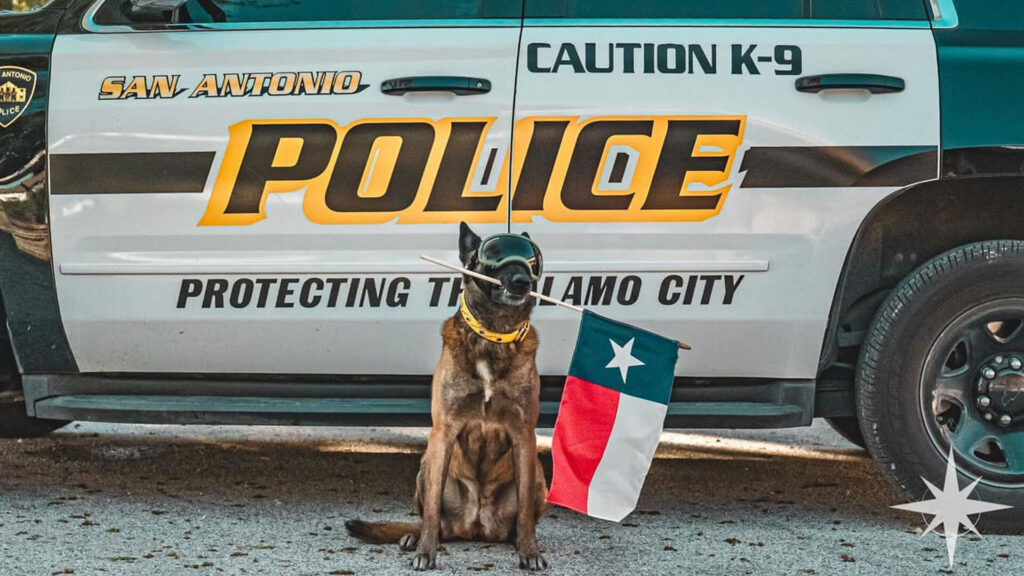  Texas Cop With A Need For Speed Hit 118 MPH, Now He&rsquo;s Out Of A Job