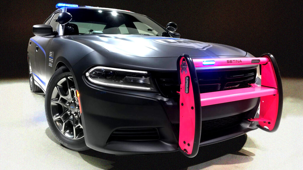  Golfers Watched A Dodge Charger Chase A Stolen Hyundai Across Their NY Country Club