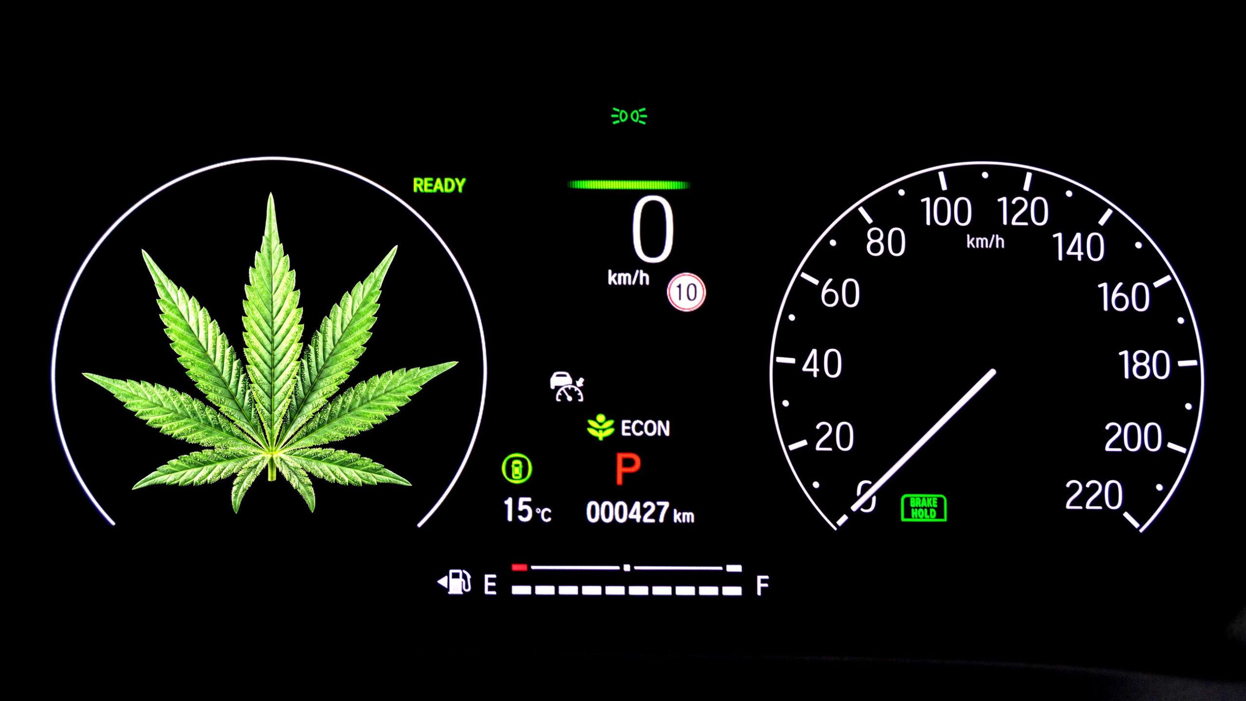 澳洲擬設大麻駕車新規：處方用藥者可含微量 THC 上路