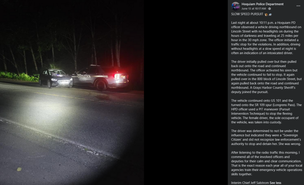  Sovereign Citizen Rejects The Cop&rsquo;s Authority, The PIT Maneuver Rejects Her Hyundai