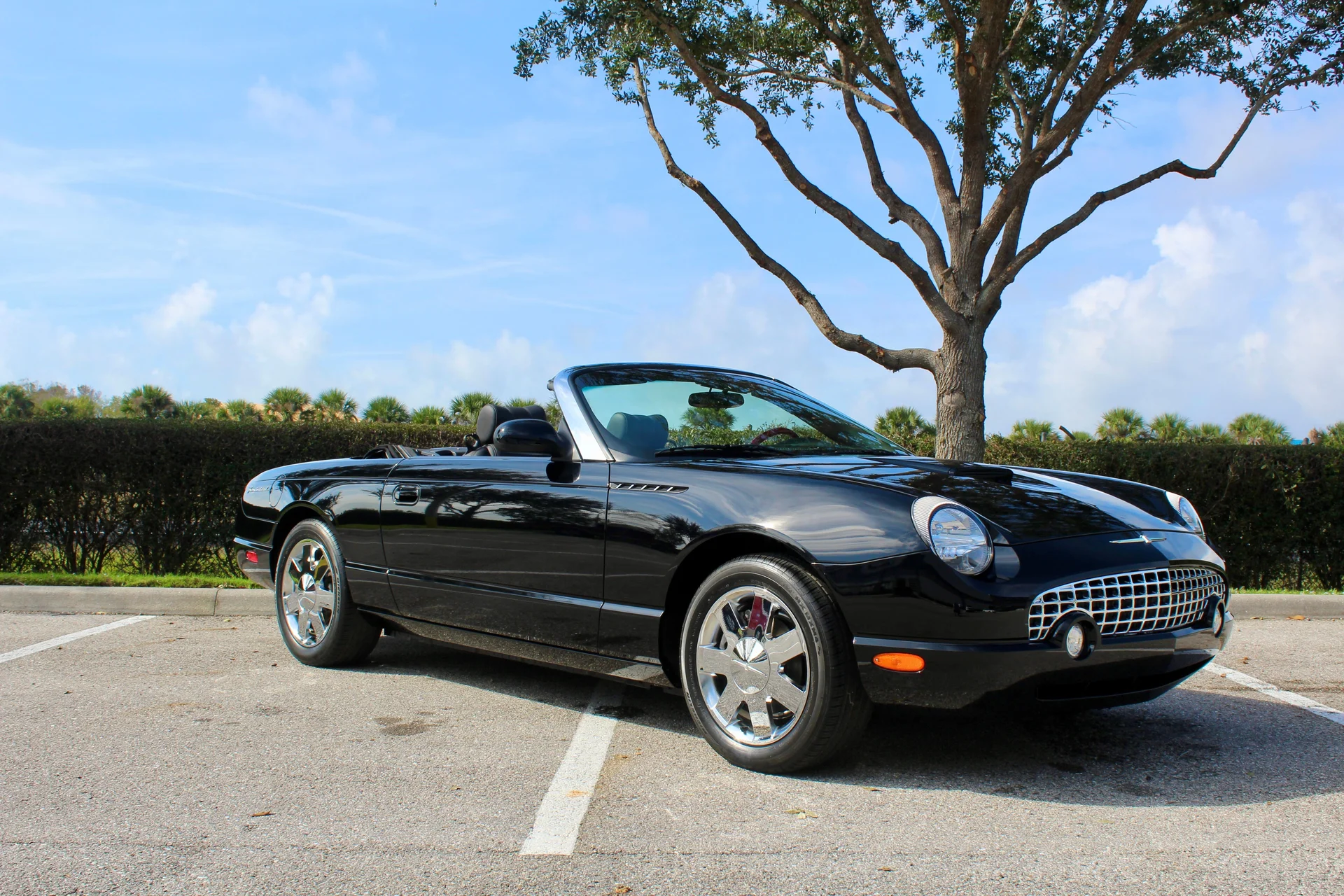2002 Ford Thunderbird For Sale USA - 1