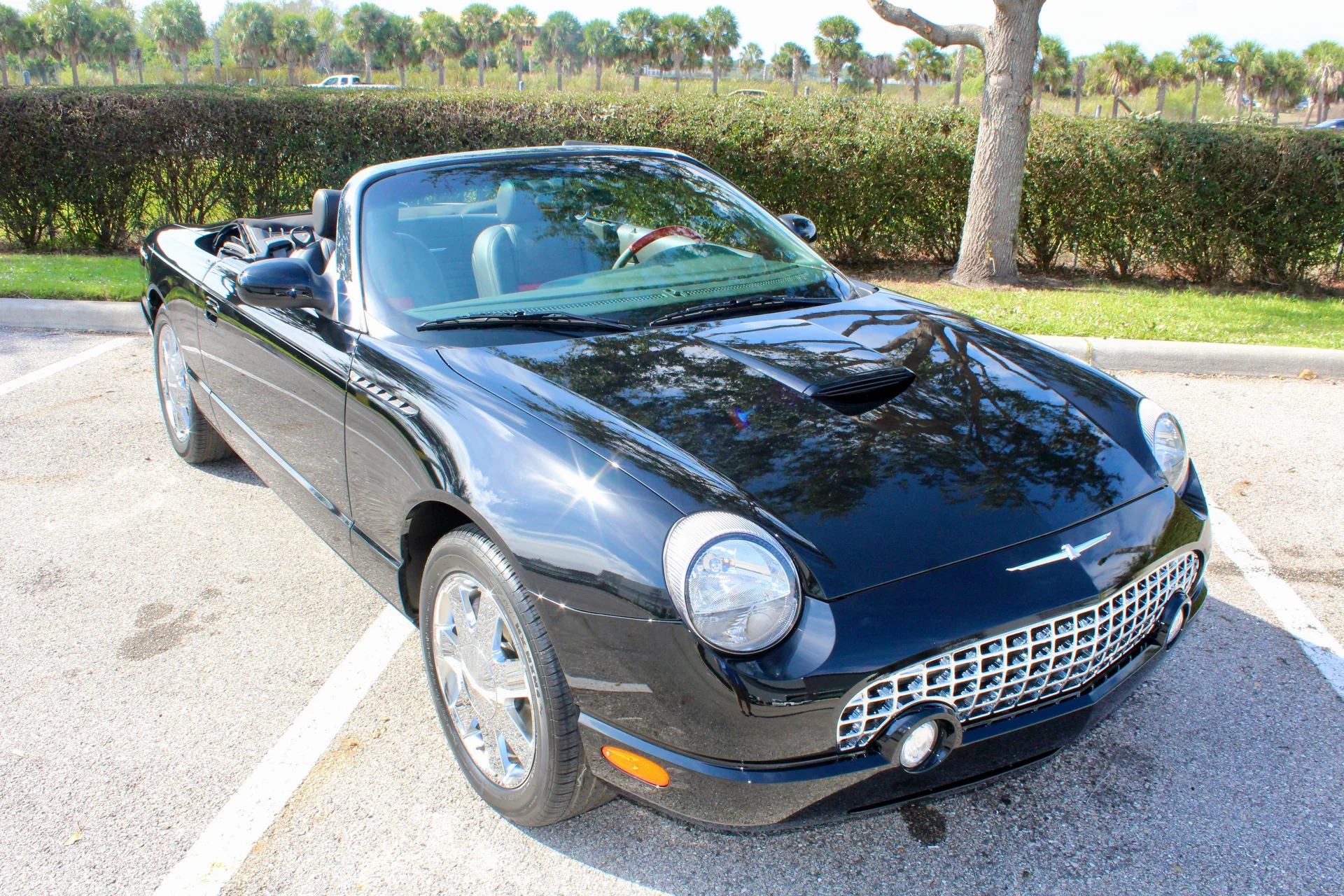 2002 Ford Thunderbird For Sale USA - 15
