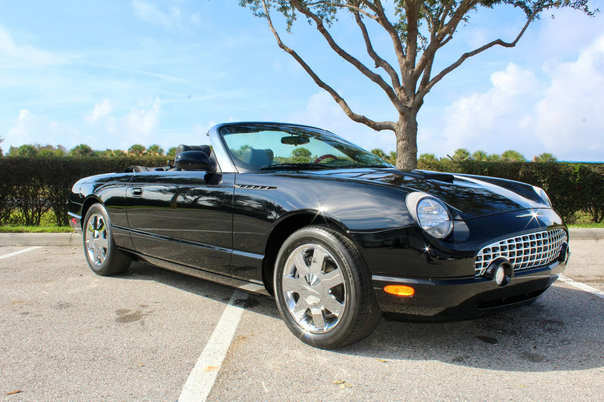 2002 Ford Thunderbird For Sale USA - 4