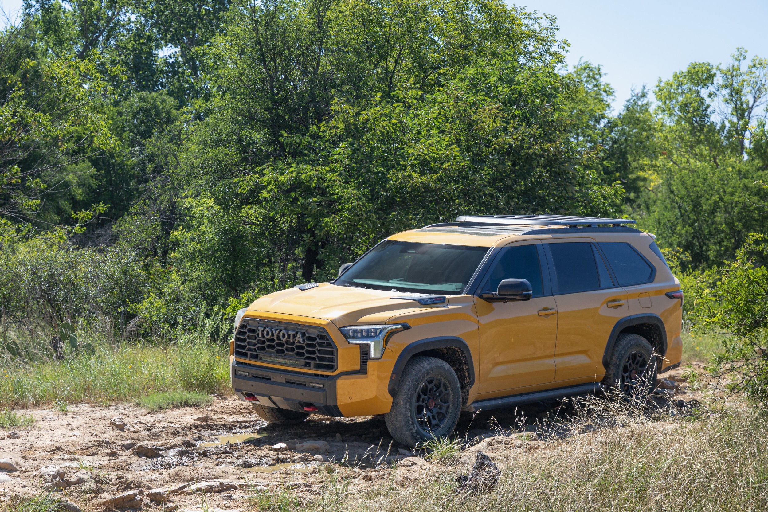 2027 Toyota Sequoia TRD Pro - HoneyComb (6)