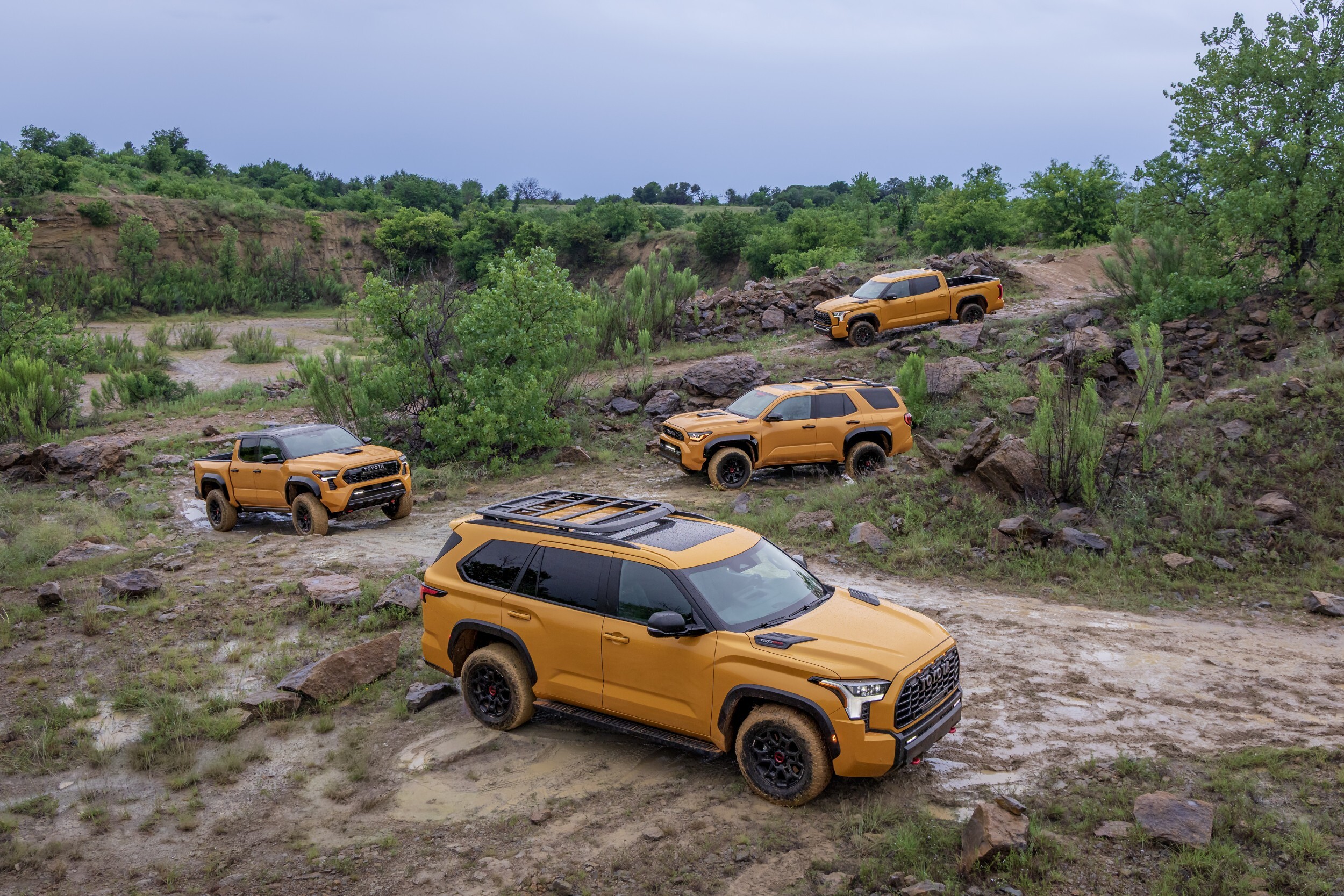 2027 Toyota TRD Pro Family - HoneyComb and Hot Honey (10)