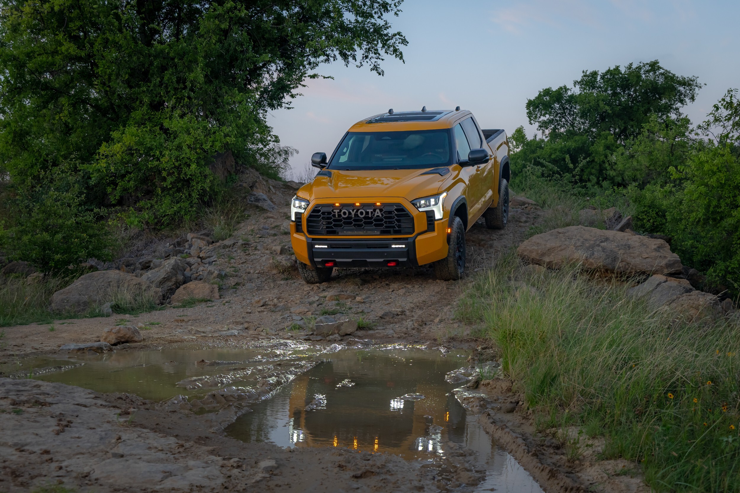 2027 Toyota Tundra TRD Pro - HoneComb (14)