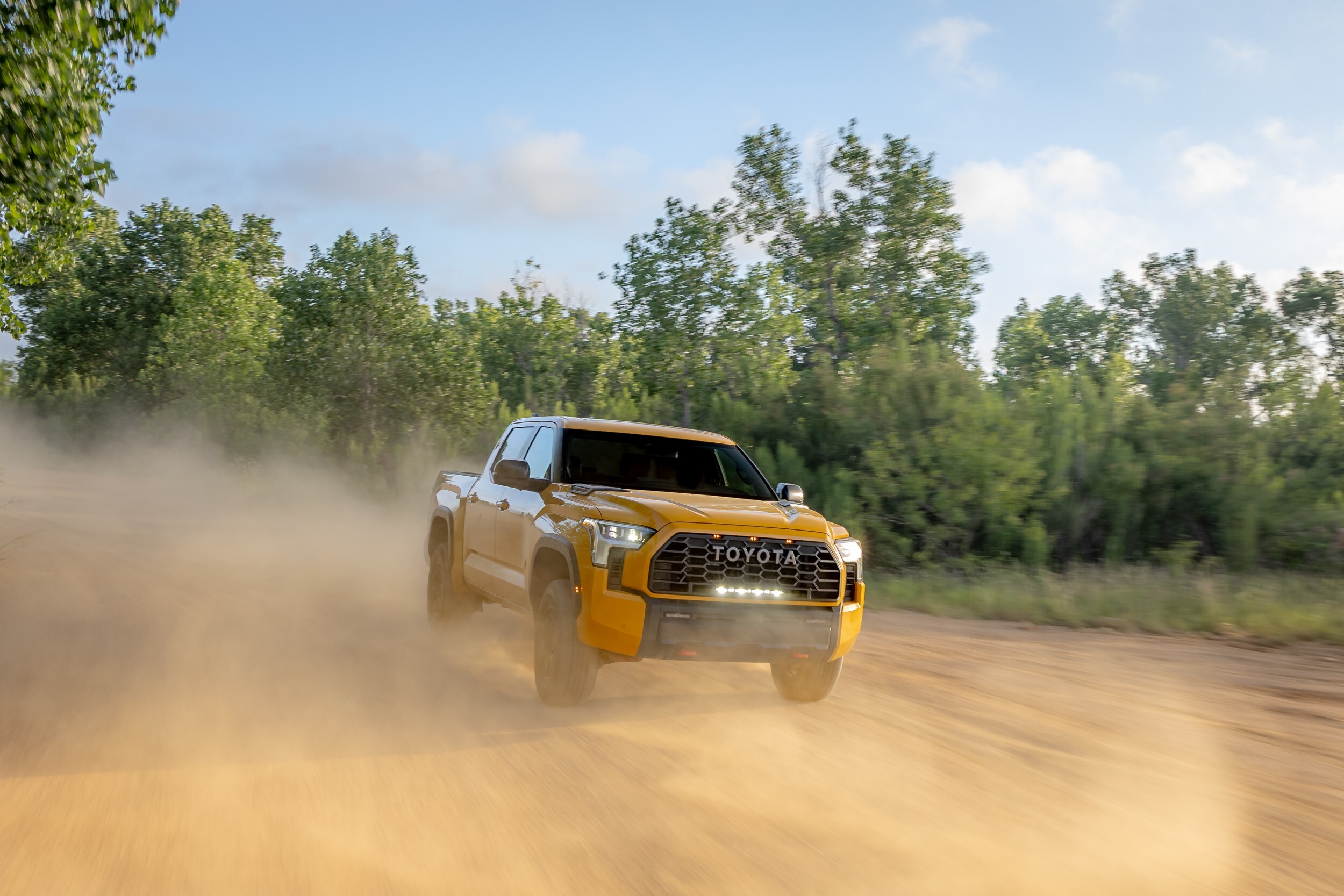 2027 Toyota Tundra TRD Pro - HoneComb (16)