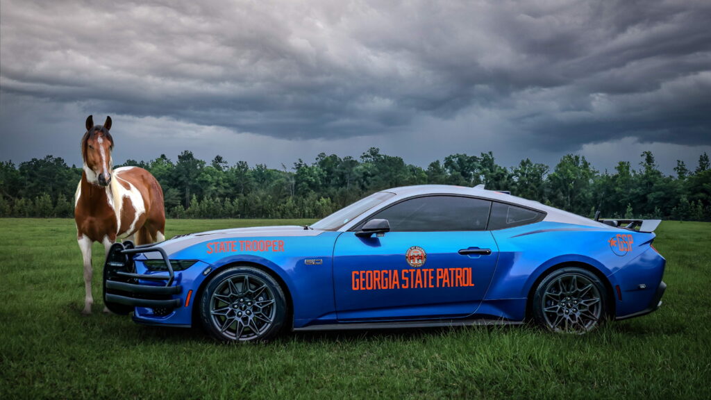  America&rsquo;s Police Cars Have Their Own Beauty Contest, And One State Owns It