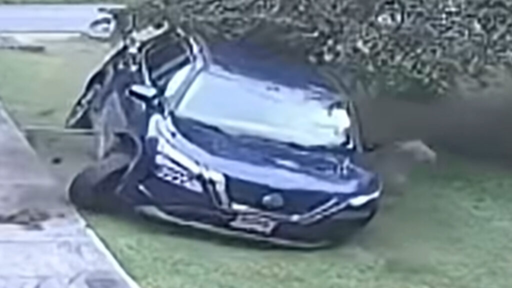  Nine Cars Have Crashed Into This Maryland Woman’s Front Yard In Two Years