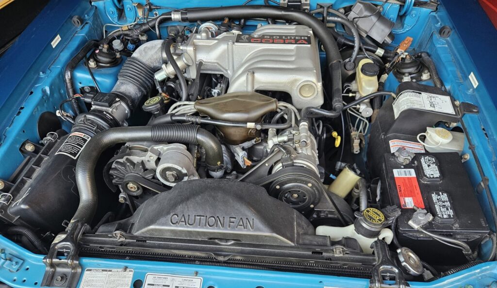  This 66-Mile Mustang Cobra Is Still Waiting To Meet Its First Ditch