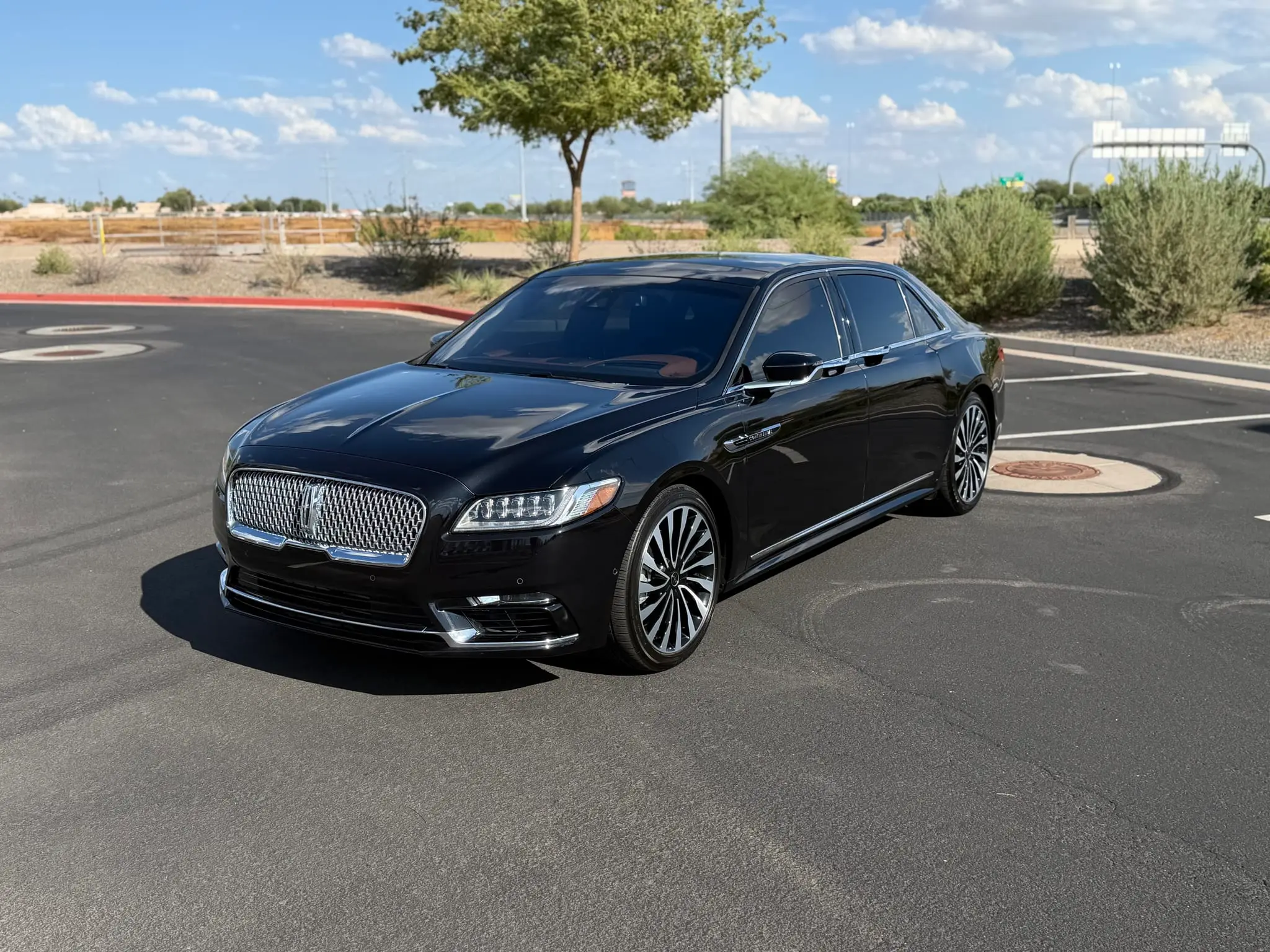 Lincoln Continental Coach Doors - 1