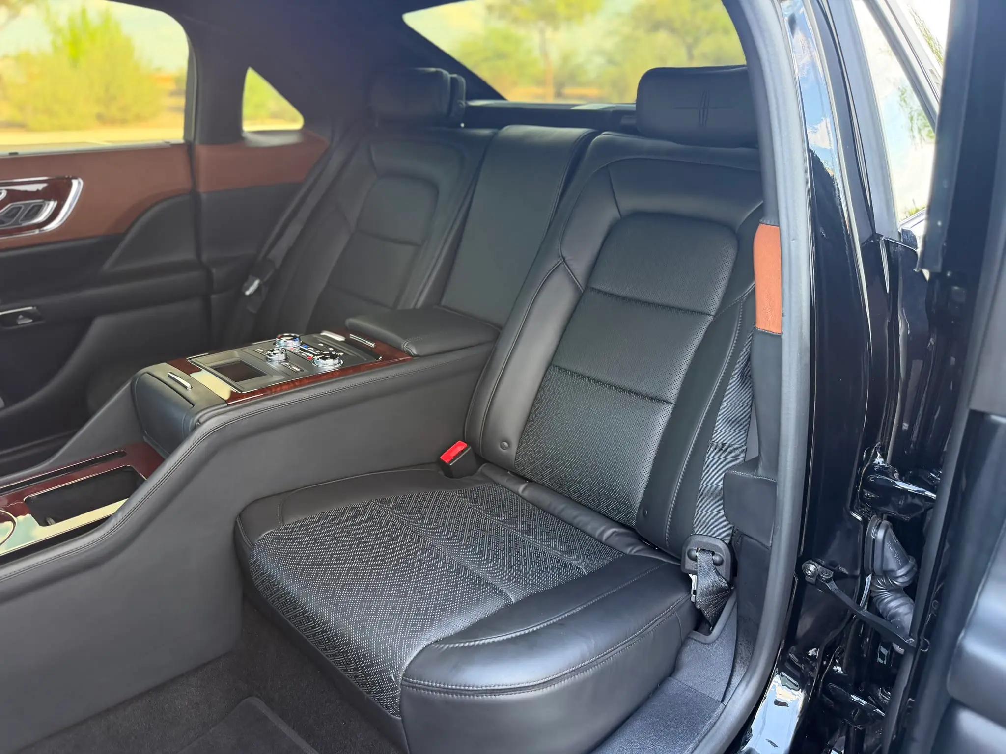 Lincoln Continental Coach Doors - 17