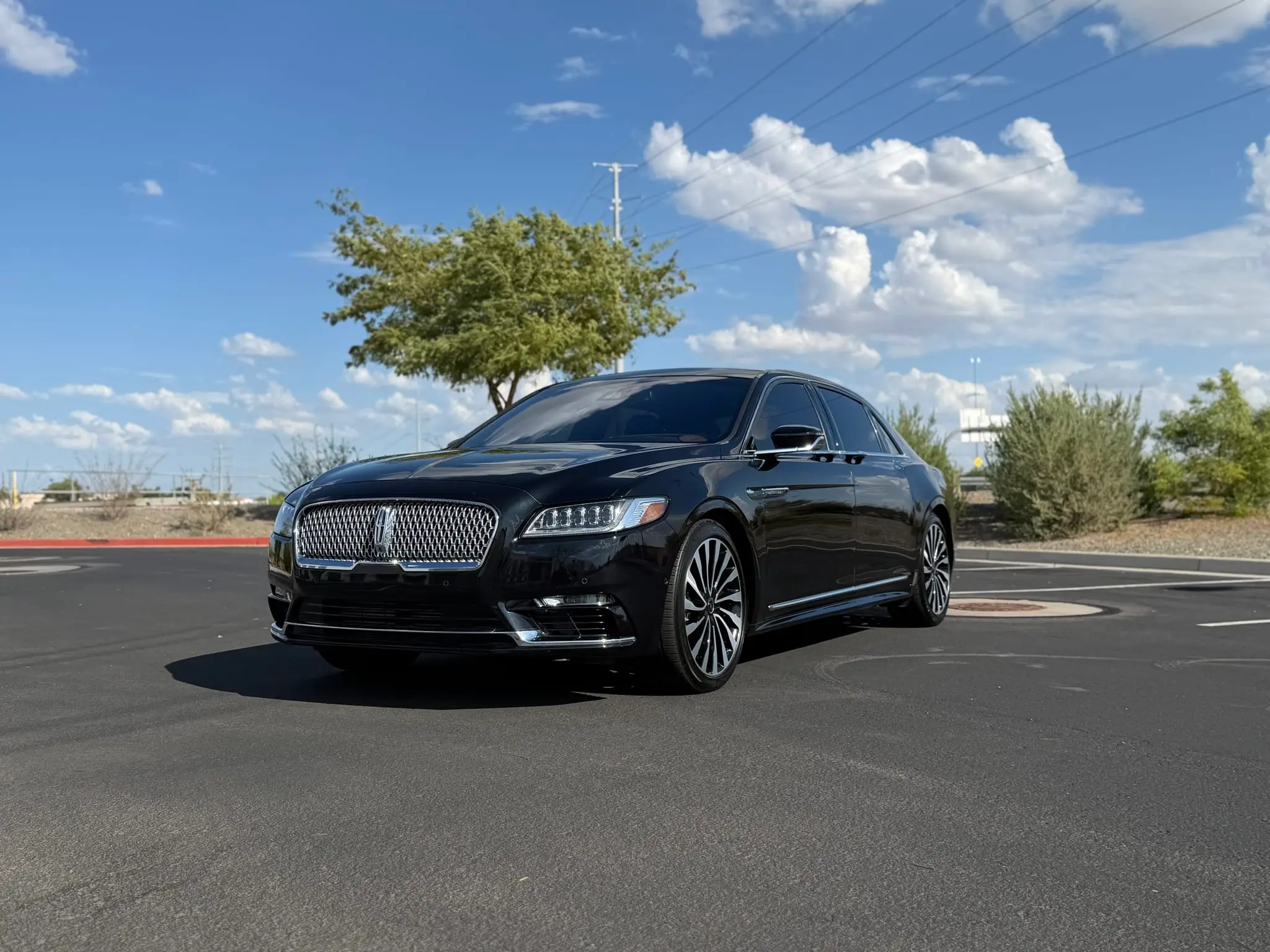 Lincoln Continental Coach Doors - 2