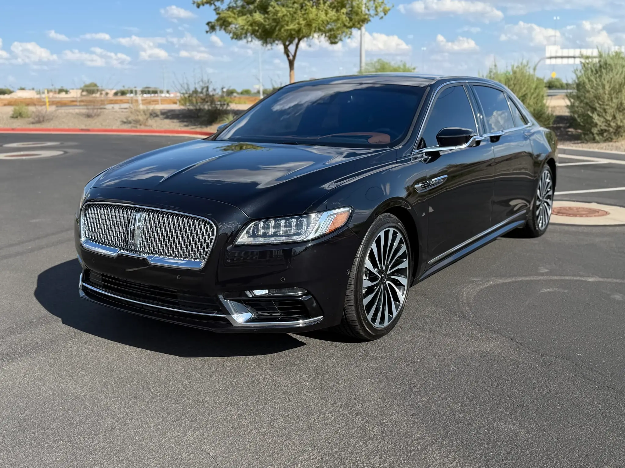 Lincoln Continental Coach Doors - 3