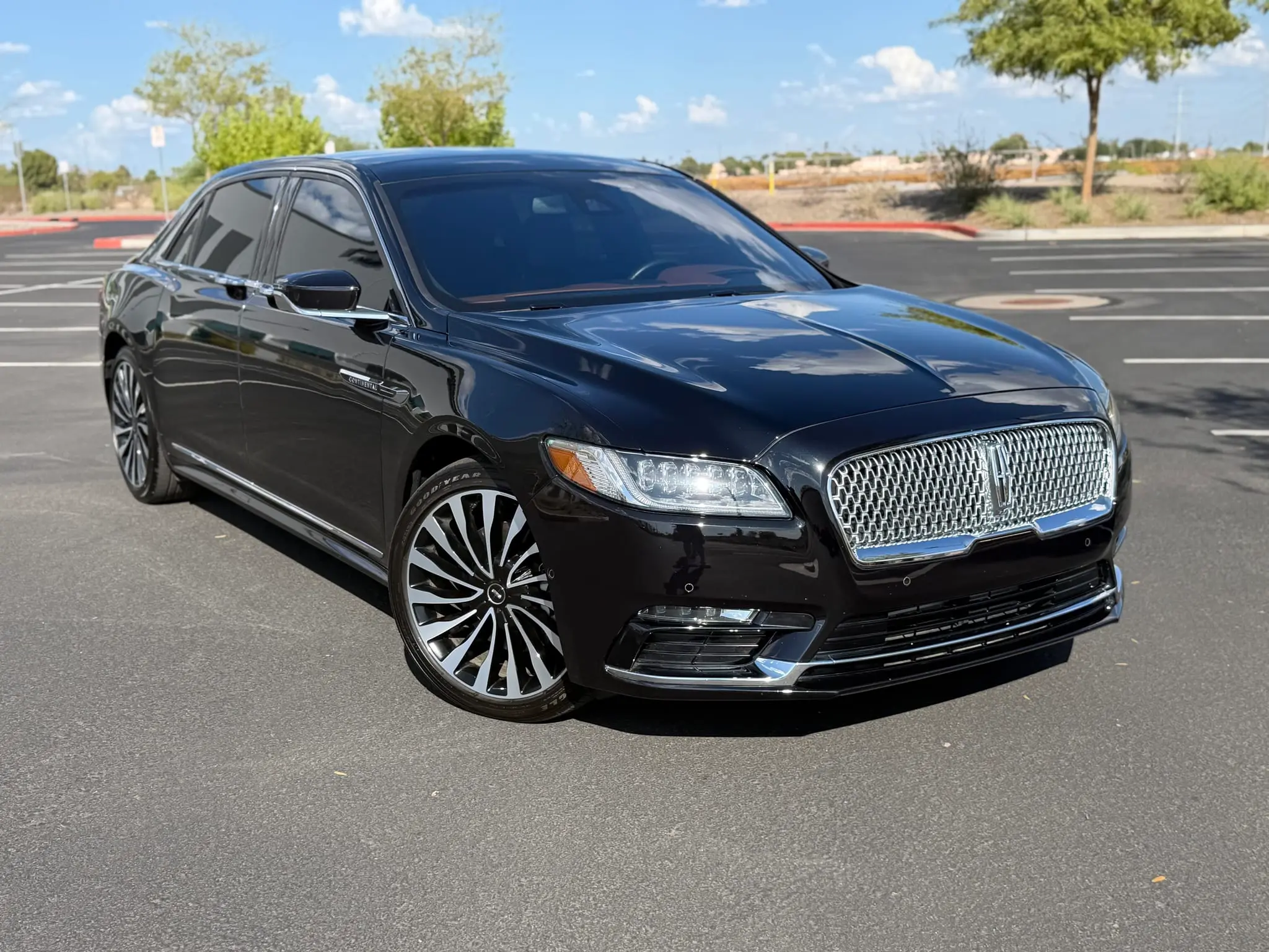 Lincoln Continental Coach Doors - 4
