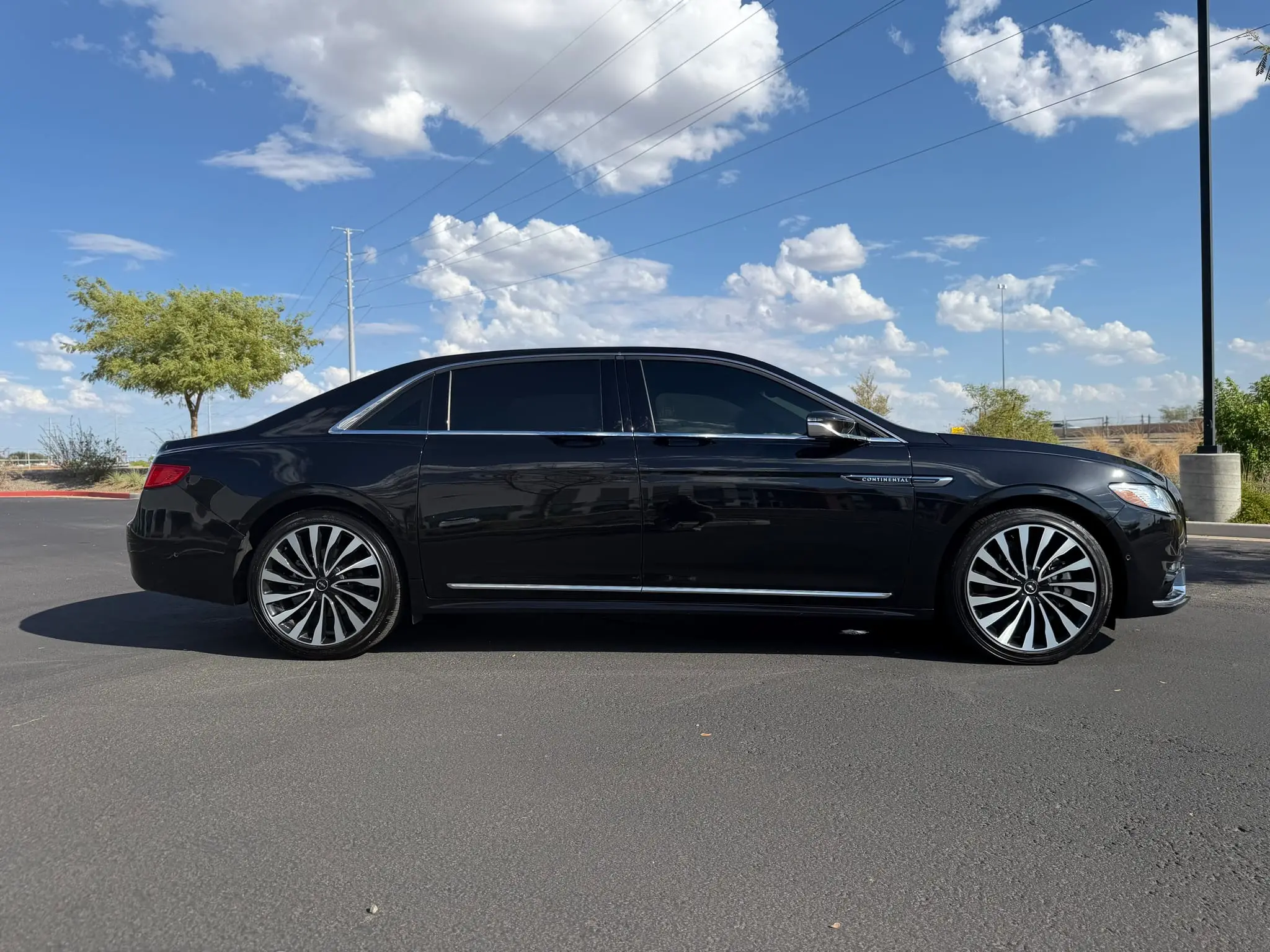 Lincoln Continental Coach Doors - 5