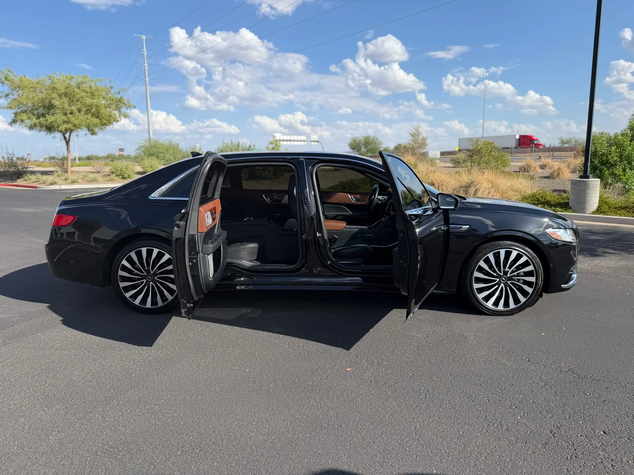 Lincoln Continental Coach Doors - 9