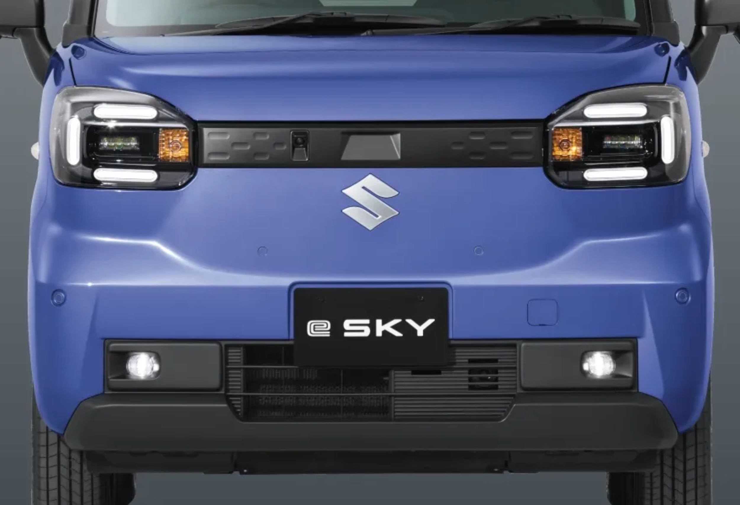 Suzuki e-Sky - Japan - Accessories - Mild Sporty (10)
