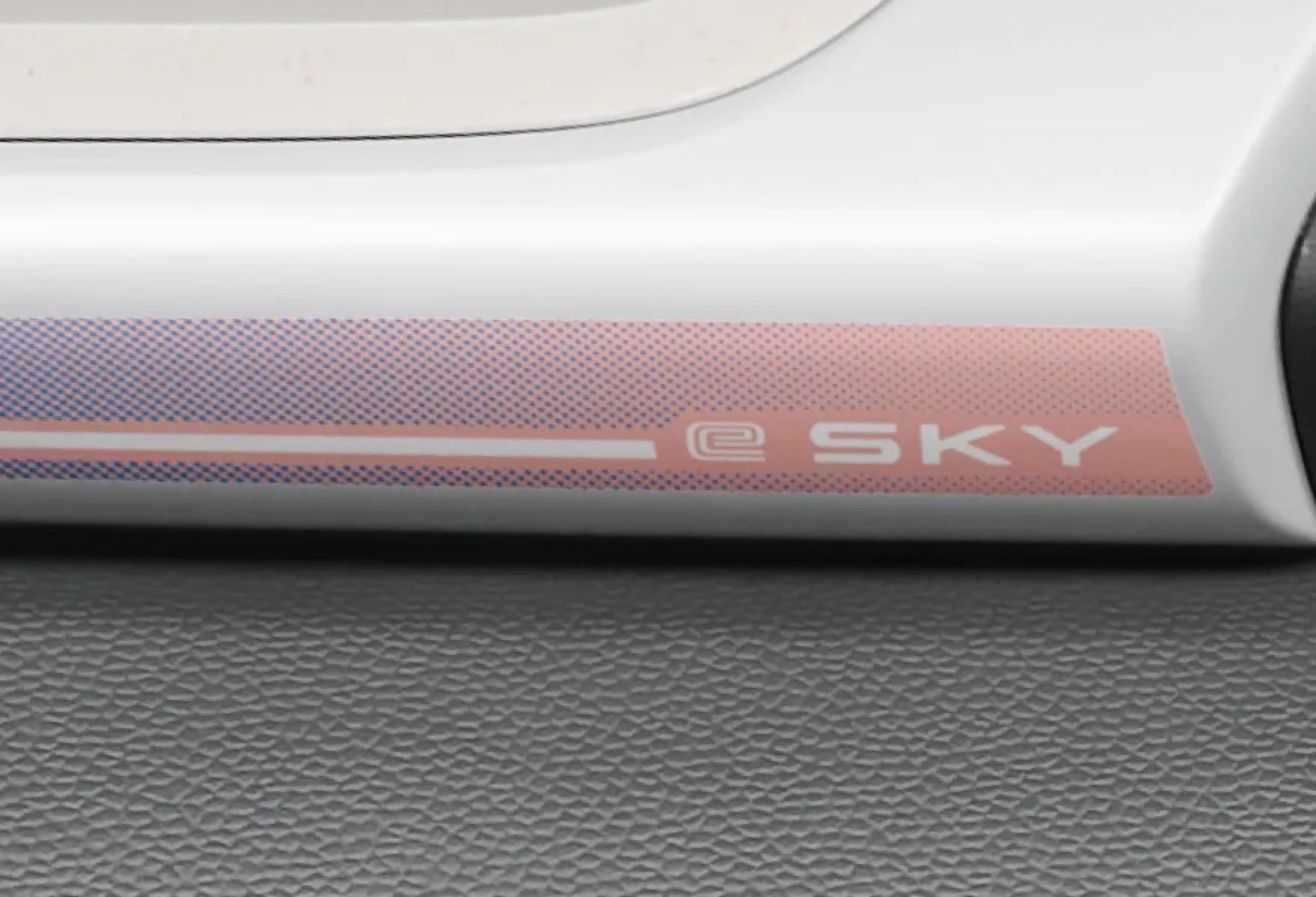 Suzuki e-Sky - Japan - Accessories - Mild Sporty (11)
