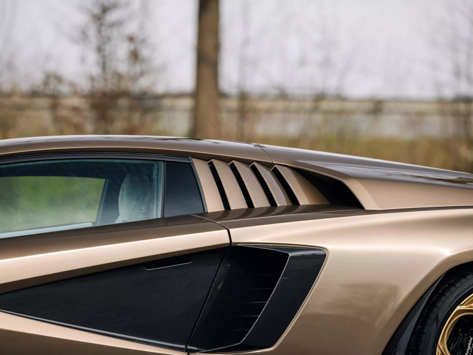 Fotos - Lamborghini Countach LPI 800-4, único en color Luci del Bosco e ...